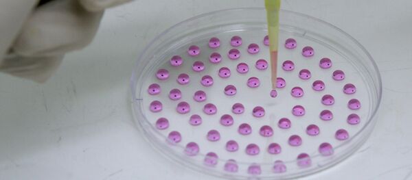 Исследователь работает с капельными эмбриональными стволовыми клетками в лаборатории сердца «Госпиталь до Коракао» в Сан-Паулу, Бразилия - Sputnik Грузия