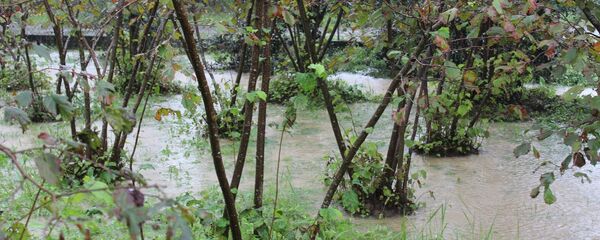 Непогода в Озургети - Sputnik Грузия