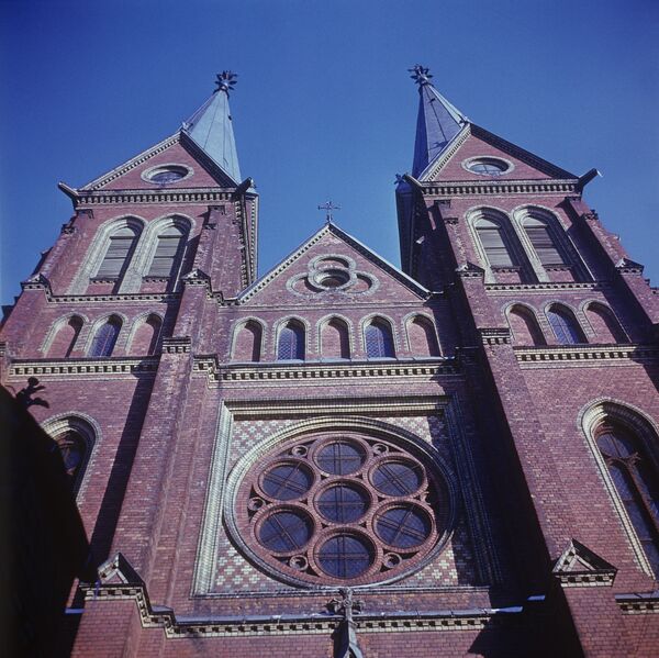 Всемирный день животных 2019: история и интересные факты - Sputnik Грузия