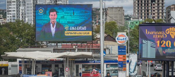 წინასაარჩევნო აგიტაცია წინასაარჩევნო აგიტაცია - Sputnik საქართველო