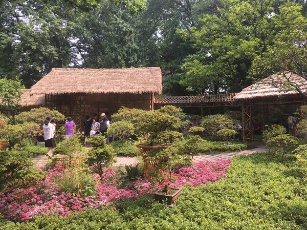 ჩინეთი ჩინეთი - Sputnik საქართველო