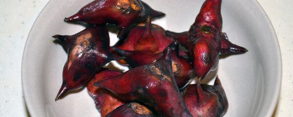 წყლის კაკალი წყლის კაკალი - Sputnik საქართველო