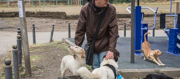 თბილისის მაცხოვრებელი უპატრონო ცხოველებს ეხმარება თბილისის მაცხოვრებელი უპატრონო ცხოველებს ეხმარება - Sputnik საქართველო