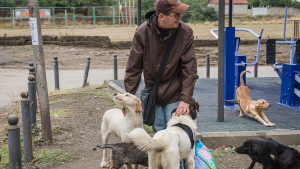 Спаси четвероного друга: как житель Тбилиси помогает бездомным животным - Sputnik Грузия