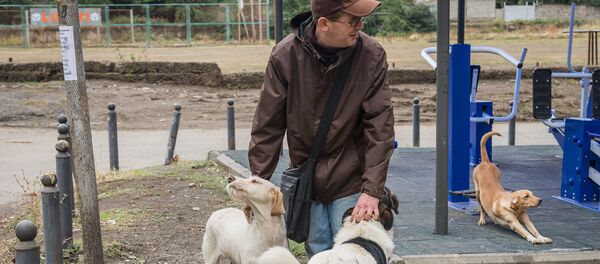 Спаси четвероного друга: как житель Тбилиси помогает бездомным животным - Sputnik Грузия