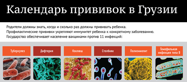 Календарь прививок в Грузии - Sputnik Грузия