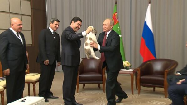 Президент Туркменистана подарил Путину щенка алабая - Sputnik Грузия