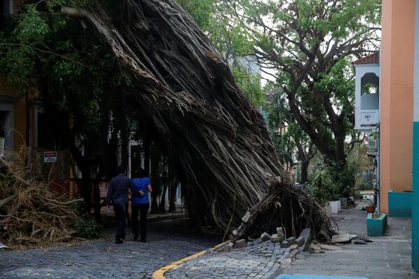 Мощный ураган нанес большой ущерб Пуэрто-Рико. На фото - местные жители проходят мимо упавшего дерева - Sputnik Грузия
