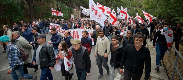 Шествие сторонников ЕНД в грузинской столице - Sputnik Грузия