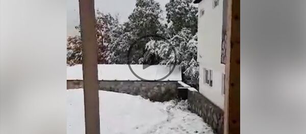 პირველი თოვლი სვანეთში - Sputnik საქართველო