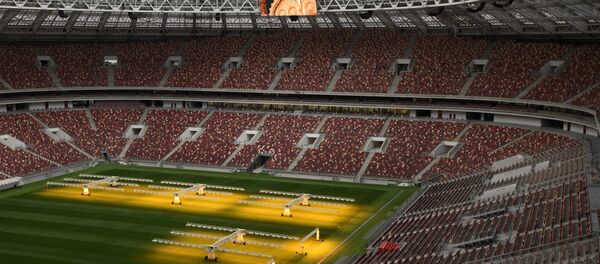 Стадион Лужники в Москве Стадион Лужники в Москве - Sputnik Грузия