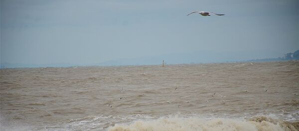 შტორმი ბათუმში შტორმი ბათუმში - Sputnik საქართველო