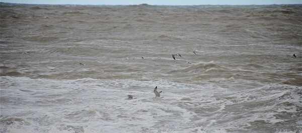 Шторм на Черном море - Sputnik Грузия