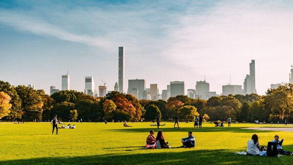 Центральный парк в Нью-Йорке - фотография Давида Ковзиридзе - Sputnik Грузия