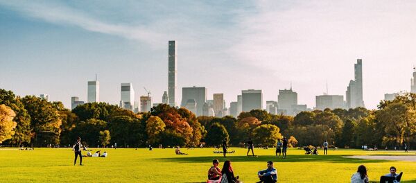 Центральный парк в Нью-Йорке - фотография Давида Ковзиридзе - Sputnik Грузия