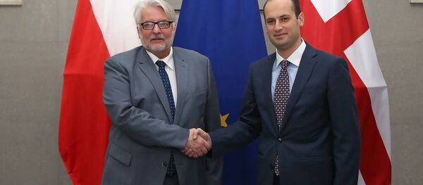 მიხეილ ჯანელიძე და ვიტოლდ ვაშჩიკოვსკი - Sputnik საქართველო