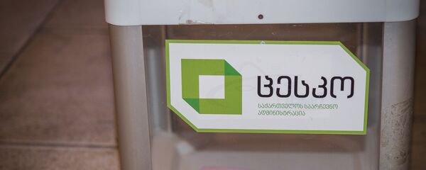 Выборы в местные органы власти - Sputnik Грузия