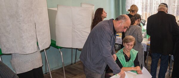 Выборы в местные органы власти - Sputnik Грузия