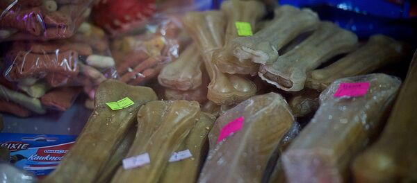 შინაური ცხოველების საკვები შინაური ცხოველების საკვები - Sputnik საქართველო