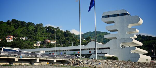 ТПП Сарпи на грузино-турецкой границе - Sputnik Грузия