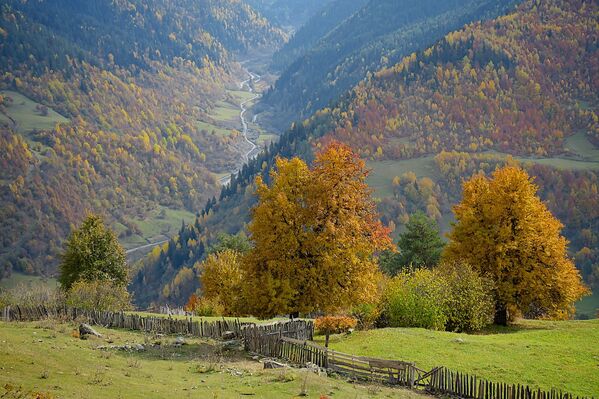 Любуясь осенними красками - горный пейзаж у деревни Цвирми - Sputnik Грузия