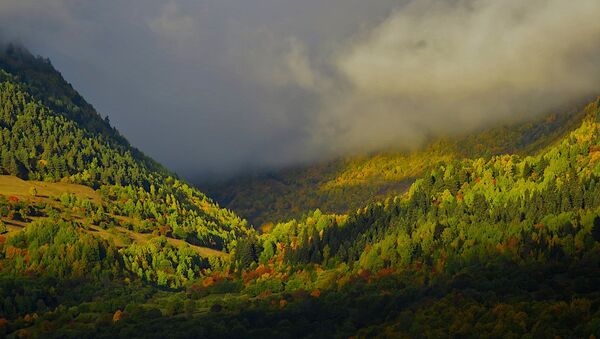 Виды региона Сванети - краски осени. Горный пейзаж в районе Хацвали - Sputnik Грузия
