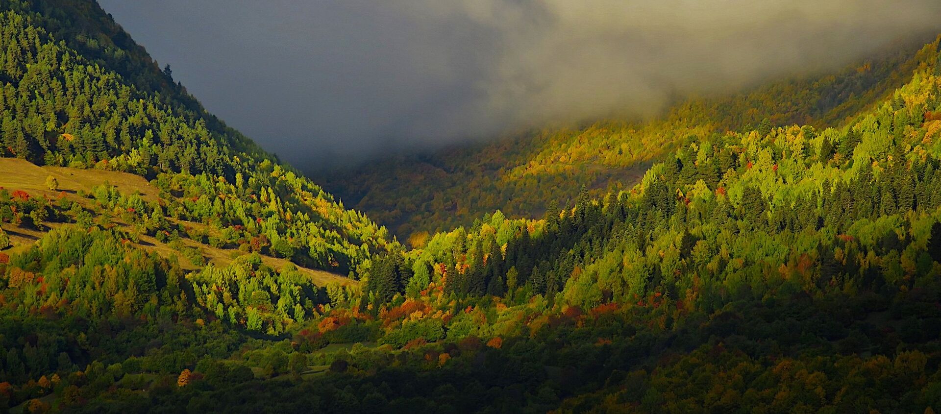 Виды региона Сванети - краски осени. Горный пейзаж в районе Хацвали - Sputnik Грузия, 1920, 09.06.2020