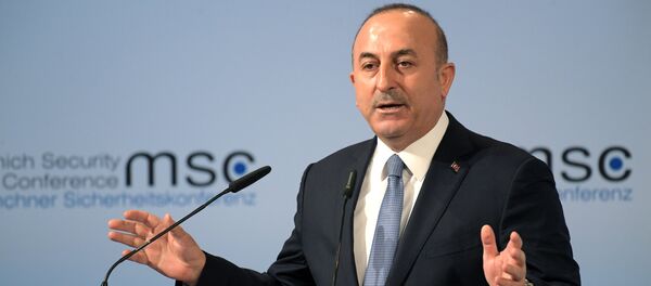 მევლუთ ჩავუშოღლუ მევლუთ ჩავუშოღლუ - Sputnik საქართველო