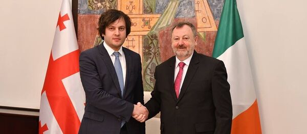 Ираклий Кобахидзе на встрече с ирландским коллегой Денисом О'Донованом - Sputnik Грузия