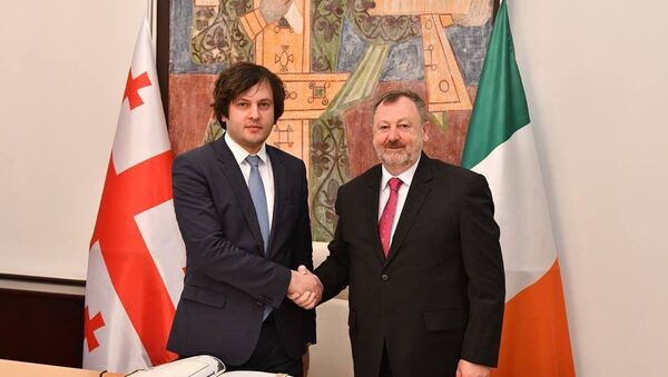 Ираклий Кобахидзе на встрече с ирландским коллегой Денисом О'Донованом - Sputnik Грузия
