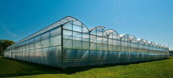 სათბური - Sputnik საქართველო