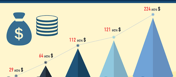 საქართველოს ინვესტორები: ლიდერი ქვეყნების ხუთეული საქართველოს ინვესტორები: ლიდერი ქვეყნების ხუთეული - Sputnik საქართველო