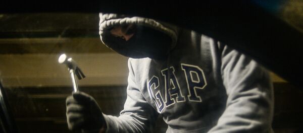 მძარცველი მძარცველი - Sputnik საქართველო