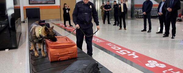 თბილისის აეროპორტში თბილისის აეროპორტში - Sputnik საქართველო