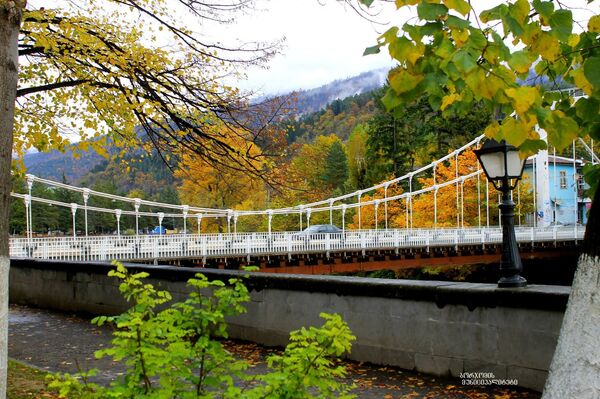 Мост в Боржоми - Sputnik Грузия
