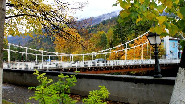 Мост в Боржоми - Sputnik Грузия
