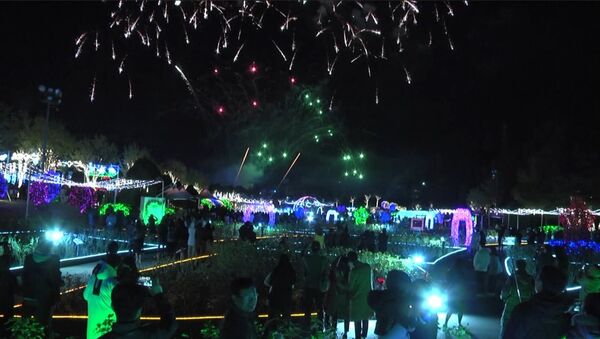 Зимний фестиваль света стартовал в Южной Корее - Sputnik Грузия
