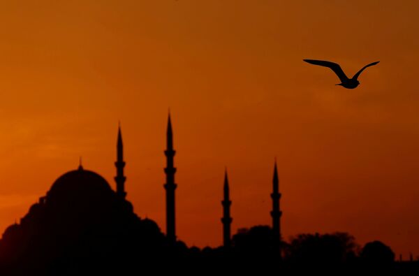Чайка летит над проливом Босфор на фоне мечети во время заката в городе Стамбул, Турция - Sputnik Грузия