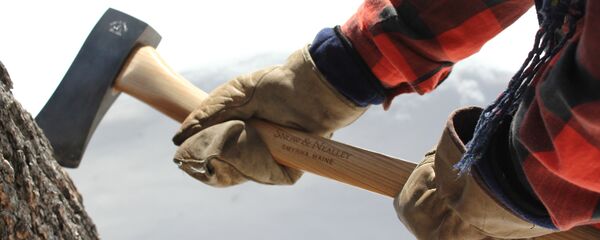 ნაჯახი ნაჯახი - Sputnik საქართველო