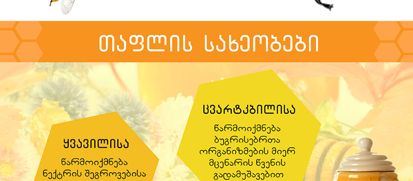 თაფლი თაფლი - Sputnik საქართველო