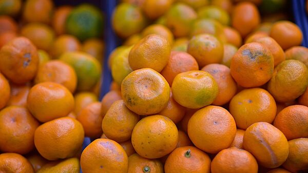Мандарины на прилавке уличного магазина - торговля фруктами - Sputnik Грузия