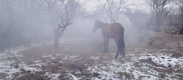 Кадр из фильма режиссера Левана Когуашвили Гогита. Новая жизнь - Sputnik Грузия