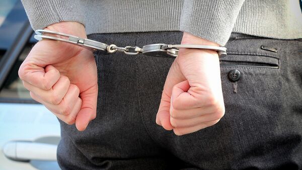 Руки в наручниках во время задержания подозреваемого - Sputnik Грузия