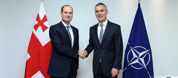 მიხეილ ჯანელიძე და იენს სტოლტენბერგი მიხეილ ჯანელიძე და იენს სტოლტენბერგი - Sputnik საქართველო