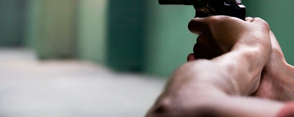 სანადირო თოფი სანადირო თოფი - Sputnik საქართველო