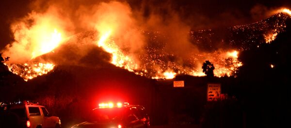 Пожарные у горящего леса в Калифорнии, близ населенного пункта Санта Анна в Вентуре - Sputnik Грузия