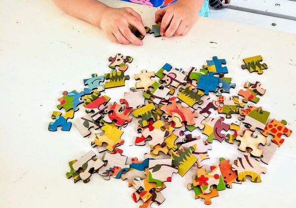 ლოგიკუმი ლოგიკუმი - Sputnik საქართველო