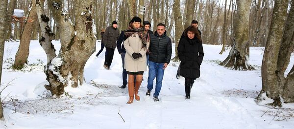 გარემოსა და ბუნებრივი რესურსების დაცვის მინისტრის მოადგილე ეკატერინე გრიგალავა და ესტონეთის ელჩი საქართველოში კაი კაარელსონი საბადურის ტყეში გარემოსა და ბუნებრივი რესურსების დაცვის მინისტრის მოადგილე ეკატერინე გრიგალავა და ესტონეთის ელჩი საქართველოში კაი კაარელსონი საბადურის ტყეში - Sputnik საქართველო