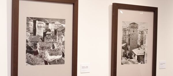 Выставка фотографа-пейзажиста Алексея Васильева в московской Галерее Классической Фотографии - Sputnik Грузия