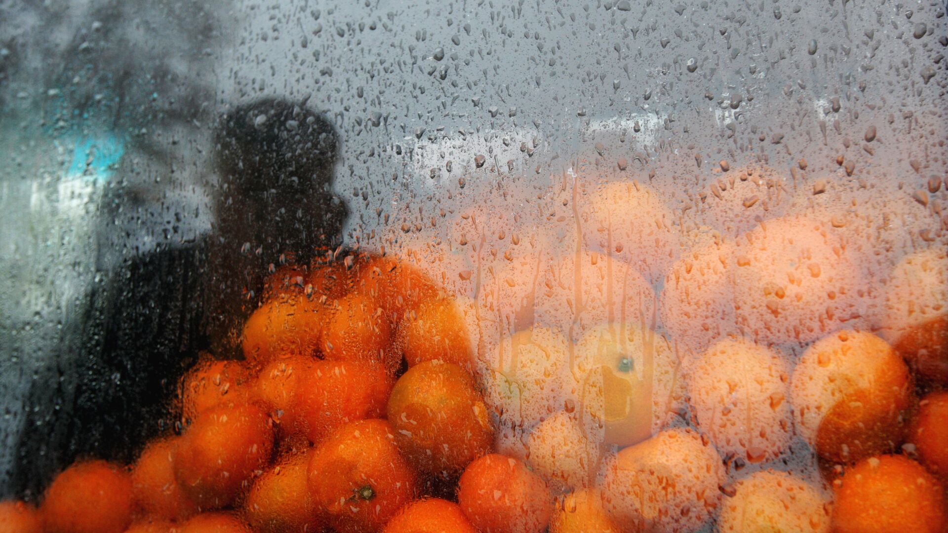 Торговцец мандаринами на оптовом рынке в Абхазии близ КПП Псоу недалеко от границы с Россией - Sputnik Грузия, 1920, 10.12.2022